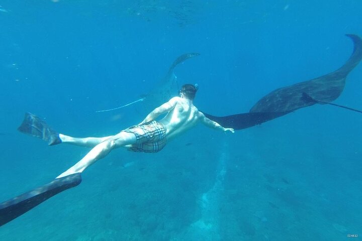 Bali Private Snorkeling (Manta, Gamat, Crystal) and Nusa Penida Tour - Image 3