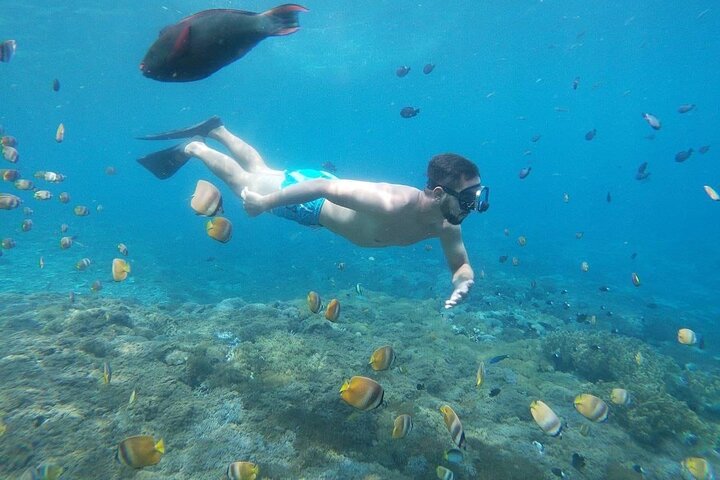 Bali Private Snorkeling (Manta, Gamat, Crystal) and Nusa Penida Tour - Image 5