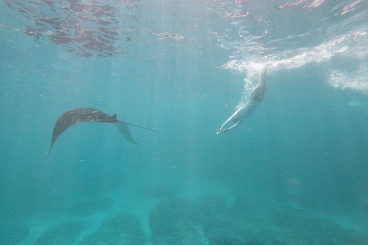 Bali Private Snorkeling (Manta, Gamat, Crystal) and Nusa Penida Tour - Image 4