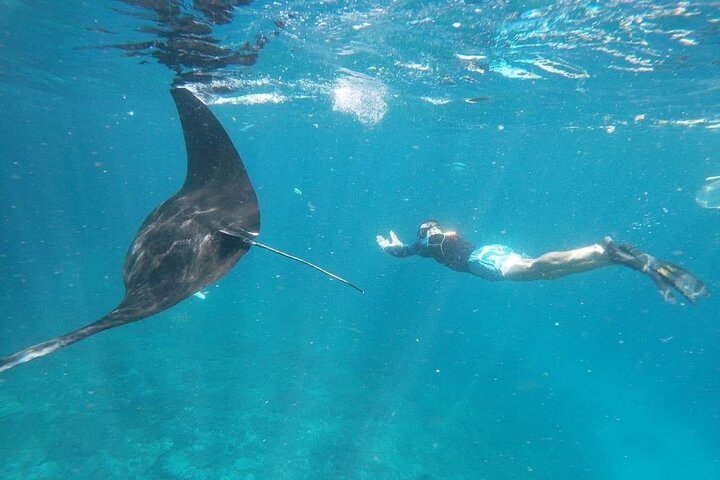Bali Private Snorkeling (Manta, Gamat, Crystal) and Nusa Penida Tour - Image 1