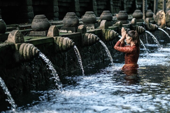 Bali Private Tour - Best of Ubud - All Inclusive - Image 5
