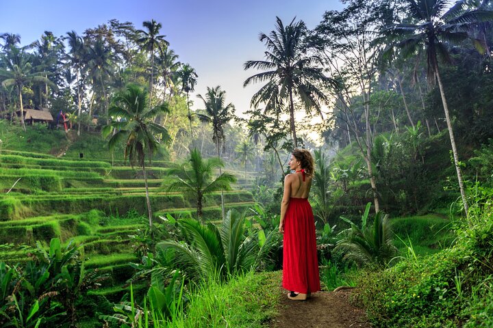 Bali Private Tour - Best of Ubud - All Inclusive - Image 1