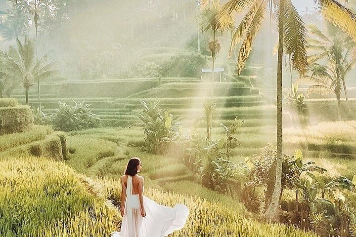 Bali Private Tour - Best of Ubud - All Inclusive - Image 3