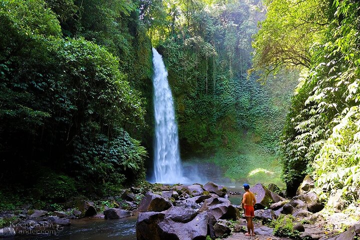 Bali Private Tour Customize Best of Bali Tour - Image 2