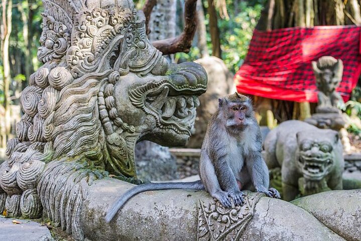Bali Private Tour Ubud and Kintamani including Lunch and waterfall - Image 2