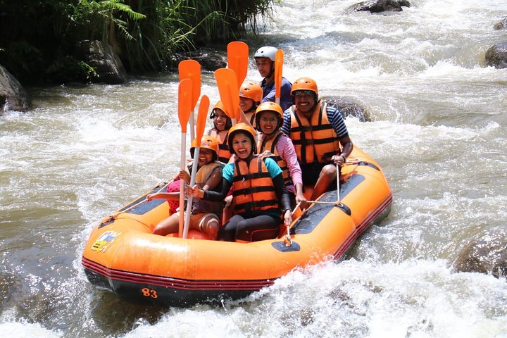 Bali Rafting with Lunch and Transport - Image 2
