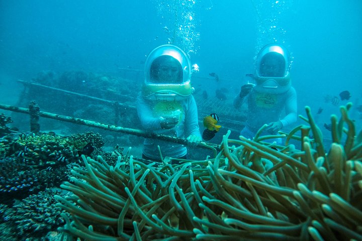 Bali Sea Walker Adventure in Tanjung Benoa - Image 4