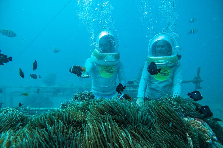 Bali Sea Walker Adventure in Tanjung Benoa - Image 2