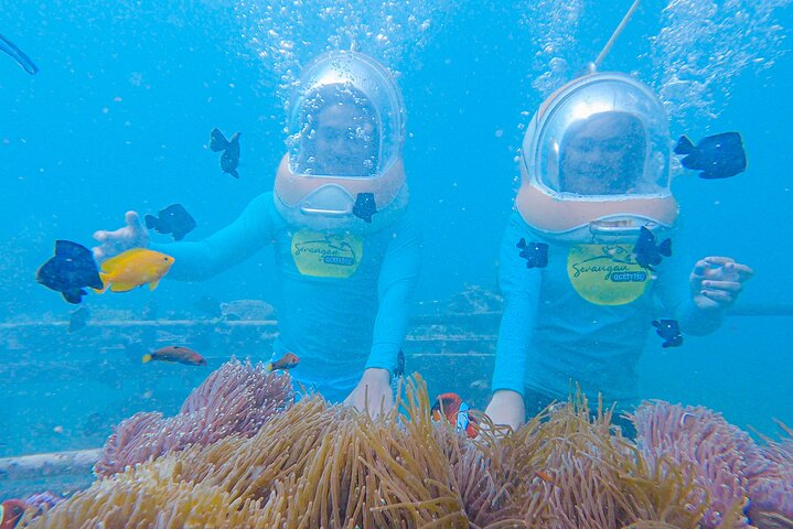 Bali Sea Walker Adventure in Tanjung Benoa - Image 3