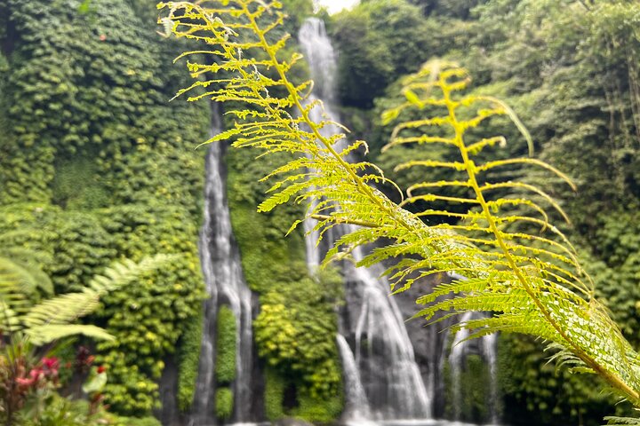 Bali Secret Temple With Waterfalls Trip - Image 3