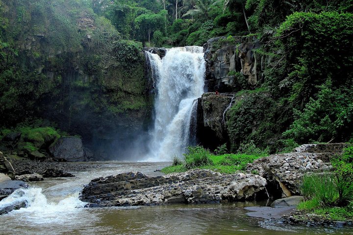 Bali Sightseeing Tour with 2 hours Spa and Lunch - Image 4
