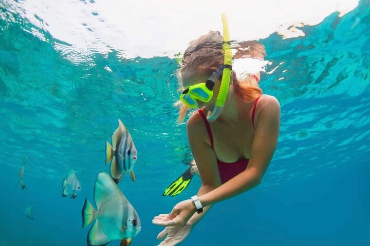 Bali Snorkeling at Blue Lagoon with Transport and Lunch - Image 5