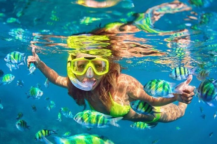 Bali Snorkeling at Blue Lagoon with Transport and Lunch - Image 3