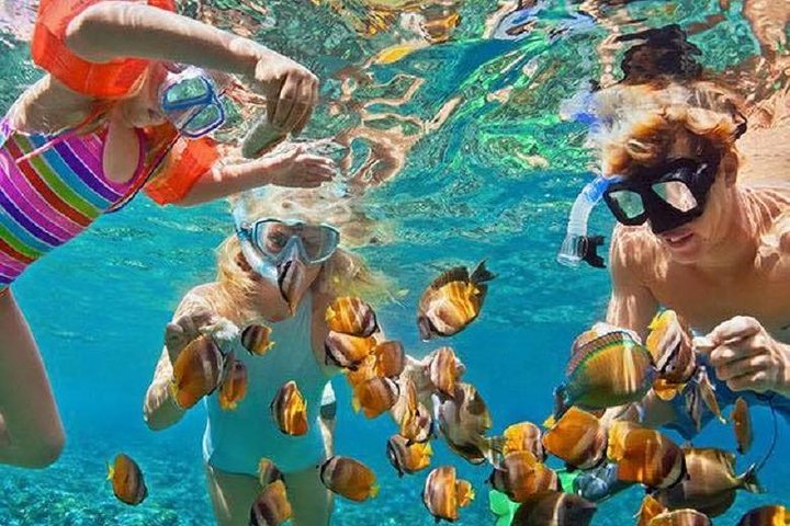Bali Snorkeling at Blue Lagoon with Transport and Lunch - Image 1