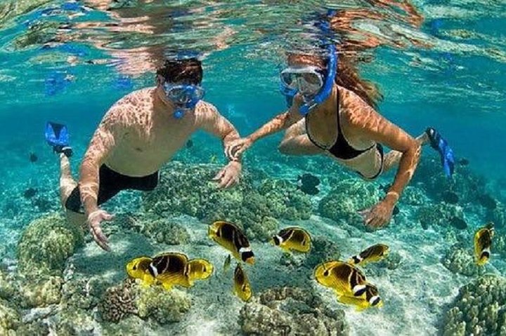 Bali Snorkeling at Blue Lagoon with Transport and Lunch - Image 2