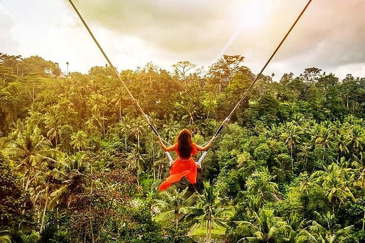 Bali Swing Experience and Ubud Tour - Image 1