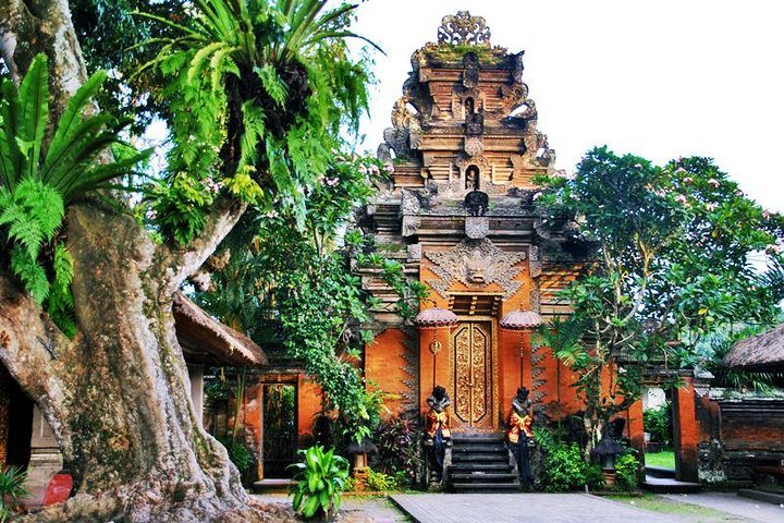 Bali Swing Experience and Ubud Tour - Image 5