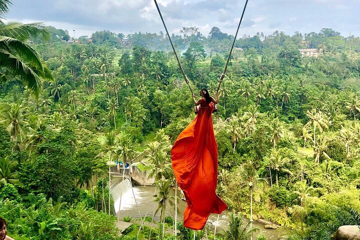 Bali Swing Heaven and White Water Rafting with All Inclusive - Image 1