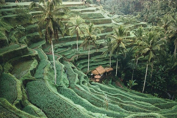 Bali Tour Customized With Local Guide - Image 4