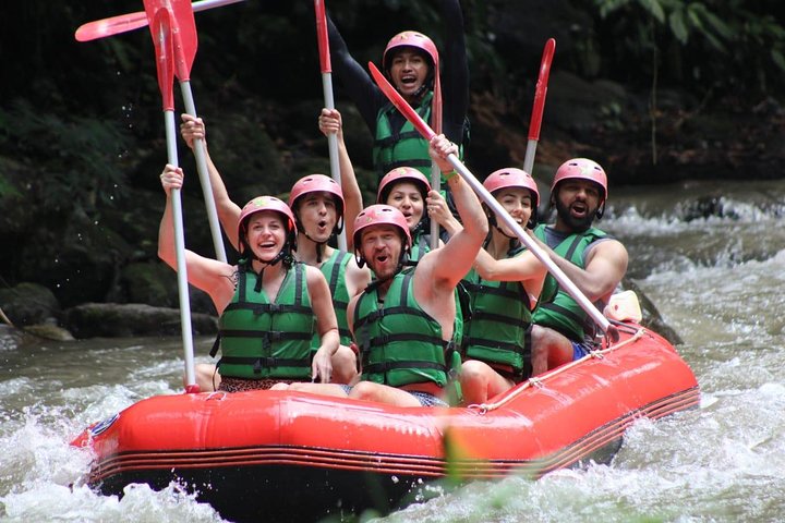 Bali Tour Customized with Private Tour Driver - Image 4