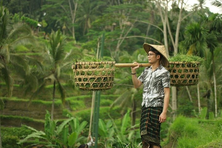 Bali Tour Customized with Private Tour Driver - Image 5