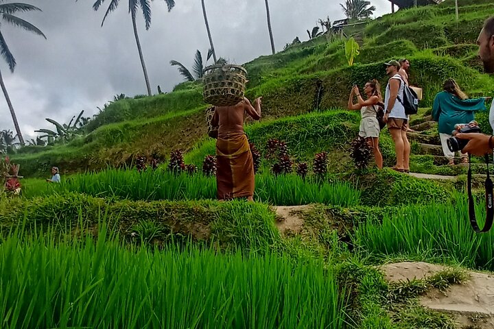 Bali Ubud Highlights Private Tour Guided with Transfers  - Image 4
