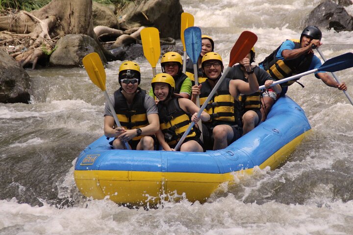 Bali White Water Rafting Including Lunch and Transport - Image 1
