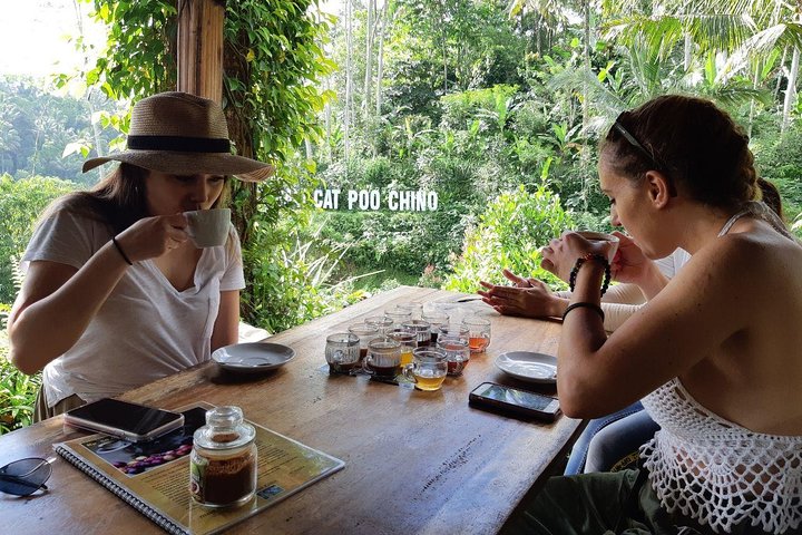 Balinese Healing, Purifying Bath and Waterfall - Image 5