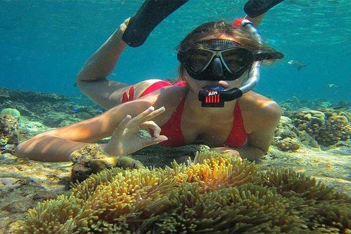 Barong Kris Dance and Blue Lagoon Beach Snorkeling with transport - Image 4