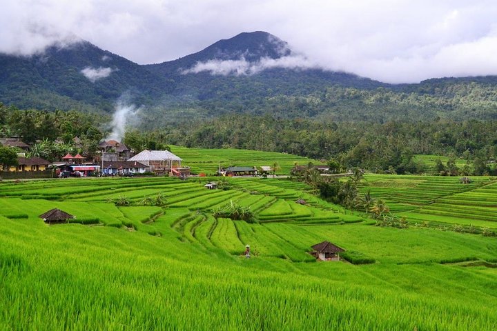 Beauty Of West Bali Tour (Private and All Inclusive) - Image 2