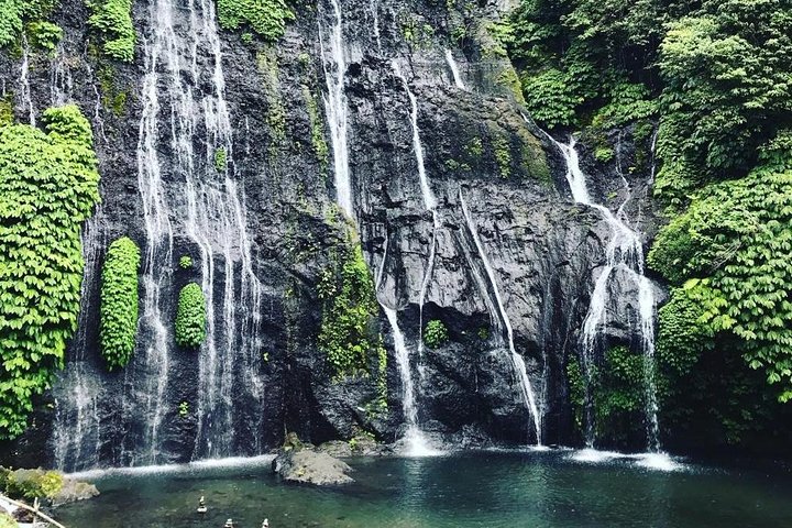 Best Bali Waterfall Private Tour  - Image 4
