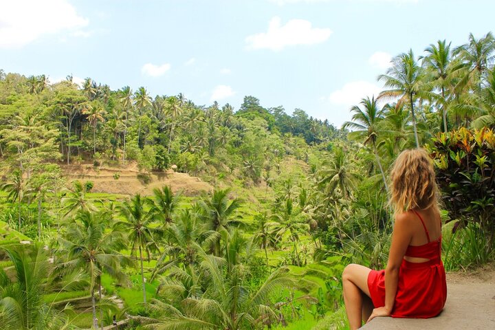 Best of Bali in 3 Days - Private Tour Package - Image 1