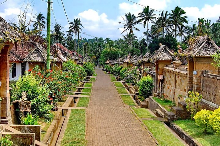 Best of Bali Private Shore Excursions - Image 5