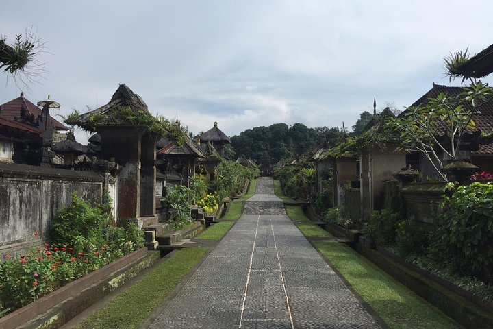 Best of Bali Private Shore Excursions - Image 4