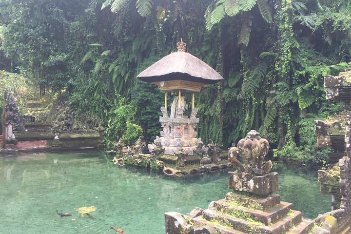 Best of Bali Private Shore Excursions - Image 3