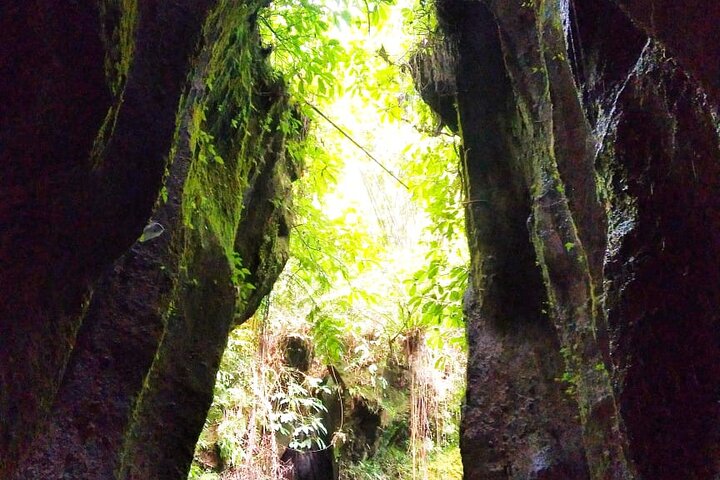 Best of Bali Waterfalls. Part 1 - Image 5