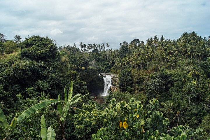 Best of Bali Waterfalls. Part 1 - Image 4