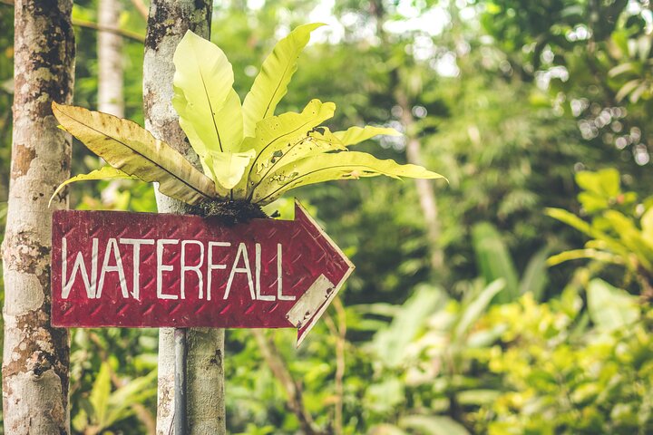 Best of Bali Waterfalls. Part 2 (Sekumpul, Munduk, and Banyumala Twins) - Image 2