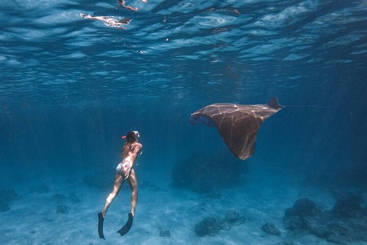 Best of Nusa Penida Holiday Package with Snorkeling: 2 Days 1 Night - Image 5