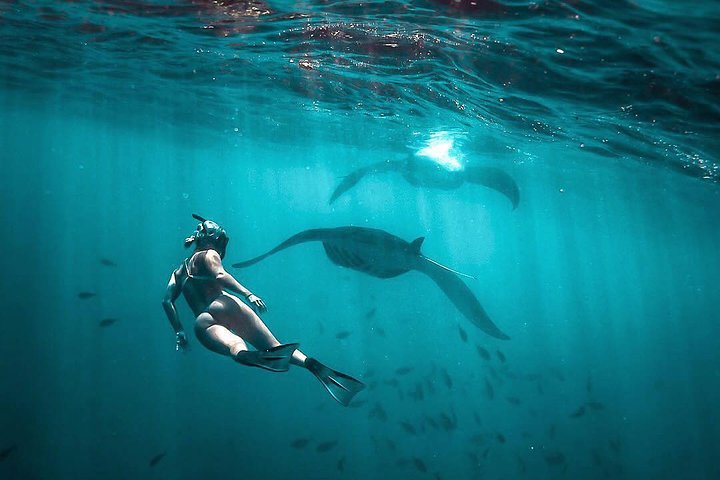 Best of Nusa Penida Holiday Package with Snorkeling: 2 Days 1 Night - Image 4