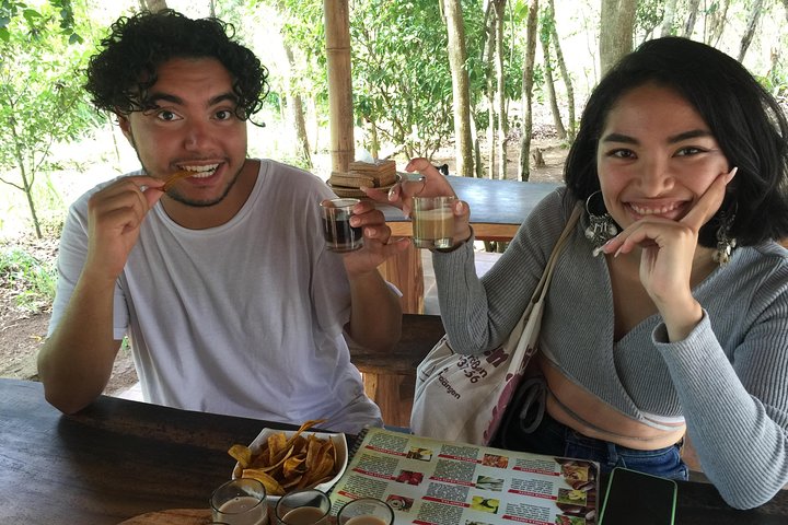 Best of Ubud intagram waterfalls with jungle swing and lunch  - Image 5