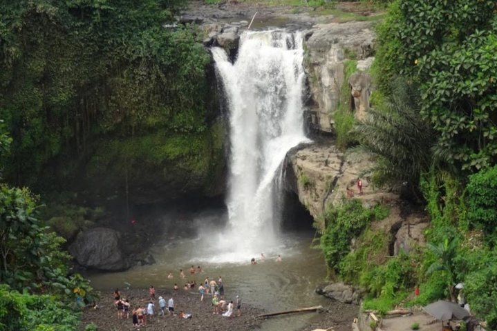 Best of Ubud intagram waterfalls with jungle swing and lunch  - Image 1