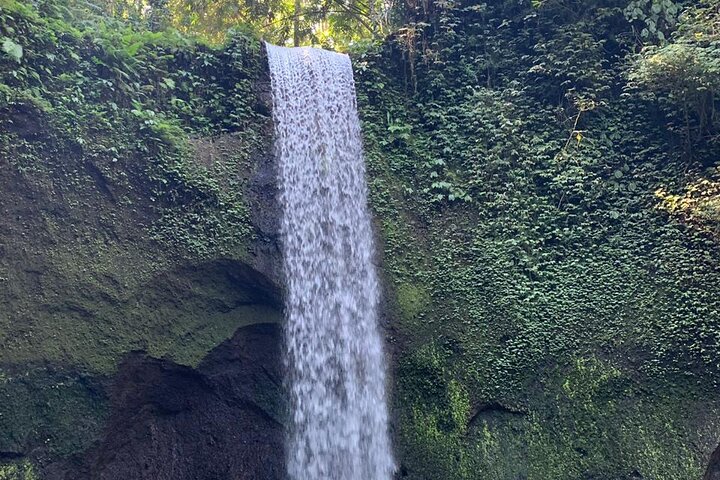 Best of Ubud & Mount Batur Volcano Private Bali Tour - Image 2