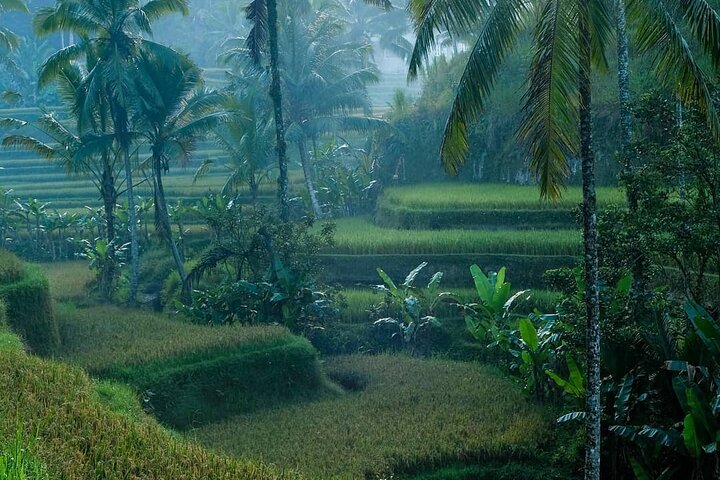 Best of Ubud: Private All-Inclusive Tour with Jungle Swing - Image 1