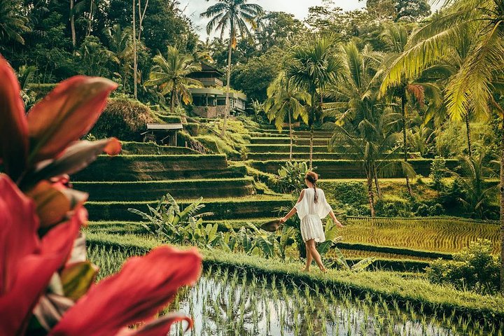 Best of Ubud: Private All-Inclusive Tour with Jungle Swing - Image 4