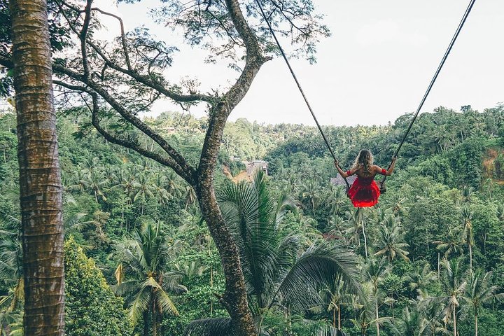 Best of Ubud: Private All-Inclusive Tour with Jungle Swing - Image 2