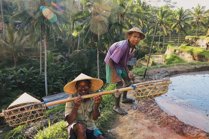 Best of Ubud: Private All-Inclusive Tour with Jungle Swing - Image 5