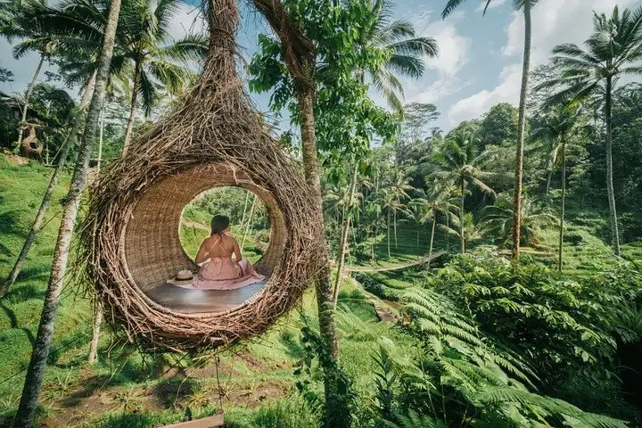 Best of Ubud: Private All-Inclusive Tour with Jungle Swing - Image 3