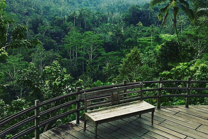 Best of Ubud: Rice Terrace, Temple and Waterfall Private Tour - Image 5