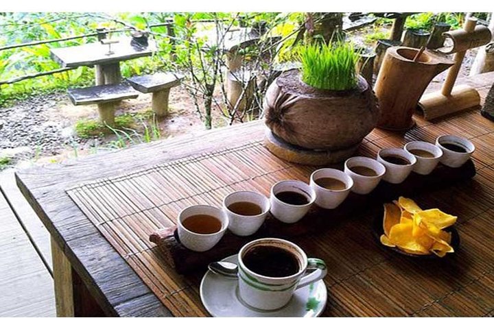 Best of Ubud Tour Package ( Private Tour) - Image 3